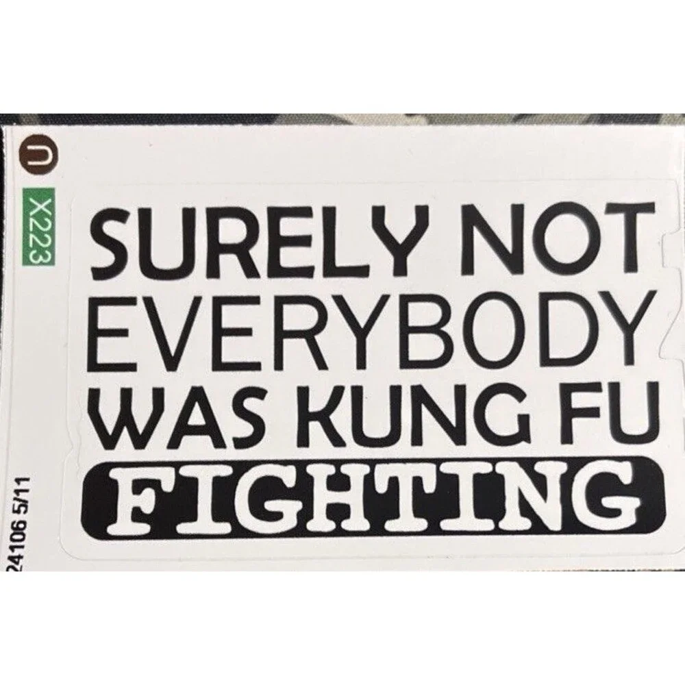 Not Everyone was Kung Fu Fighting Funny Quote Vinyl Laptop Bumper Phone Sticker